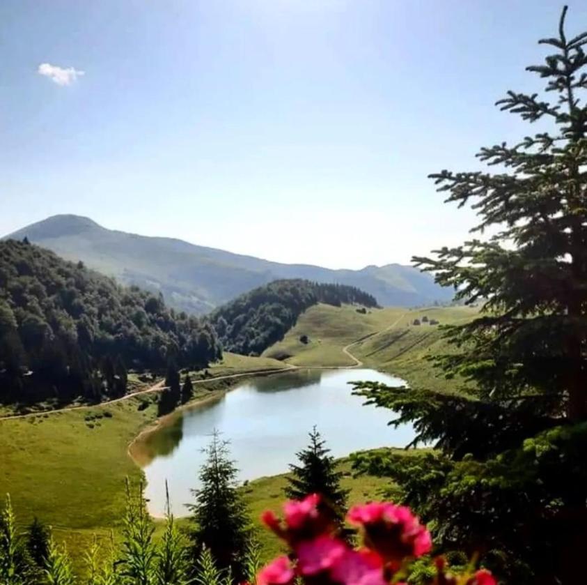 Eko Katun Bungalows Jelovica Berane Kültér fotó